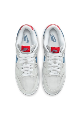 Nike Nıke Dunk Low Kadın Ayakkabı Hf0391-001 Gri