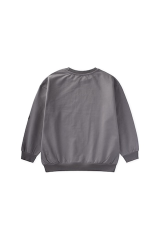 Cigit Baskılı Erkek Çocuk Kışlık Sweatshirt 8-12 Yaş Gri