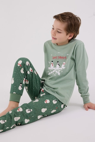 Rolypoly Erkek Çocuk Yeşil Pijama Takımı Rp3681-c-v2
