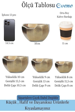 Saksı Çiçek Kaktüs Saksısı Lüx 15 Cm Önü Açık Desenli 3'lü Set Çiçeklik - Altın Eskitme