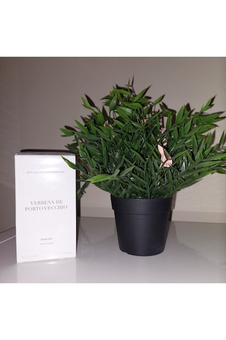 Verbena De Porto Vecchio 100 Ml Kadın Parfümü Çiçeksi