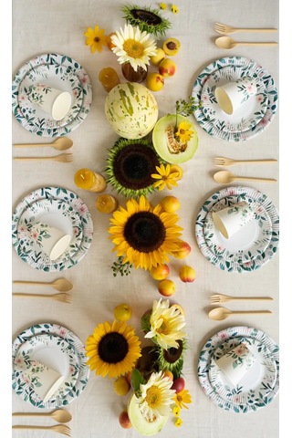 Ajvıen Kompanı 50 Kişilik Tek Kullanımlık Sofra Takımı 486576041 100 adet