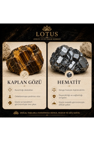 Demir Kaplan Bilekliği Kaplan Gözü, Boru Hematit & Disk Hematit