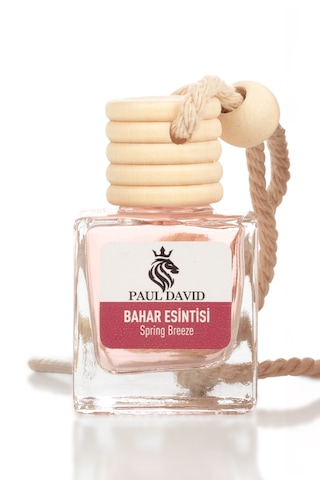 Paul David Dekoratif Araç Kokusu Bahar Esintisi 10ml