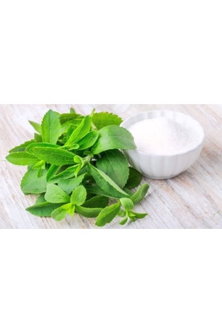 Şeker Otu - Stevia - Tohumu Tropikal Sebze Tohumları 10 Adet Tohum