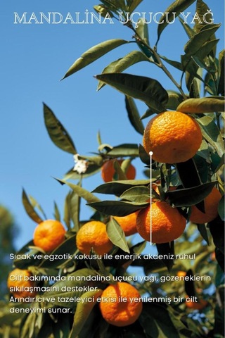 Bade Natural Mandalina Uçucu Yağı %100 Saf 10 ML