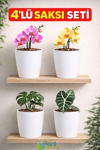 Dekoratif Beyaz Orkide Saksısı - 4 Adet Set -12 Pot Üretim Saksısına Uygun Kaliteli Ürün
