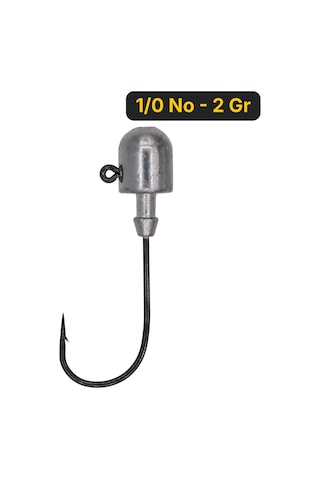 Fishcoin Bullet Jighead İğne 1/0 No - 2 Gr