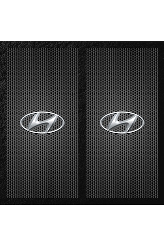 Araç Kapı Direği Kaplama Folyosu Uvbaskılı 2'li Set-50x24 Hyundai