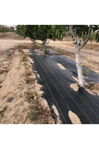 Filexus Sera Taban Örtüsü-jüt Taban Örtüsü1.5 M X 20 M