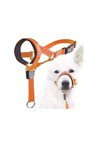 Elmpaly Yürüyüş Ve Eğitim İçin Ayarlanabilir Xl Turuncu Köpek Başlığı