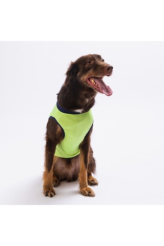 Pawstar Yeşil Shark Büyük Köpek Tişörtü Köpek Kıyafeti