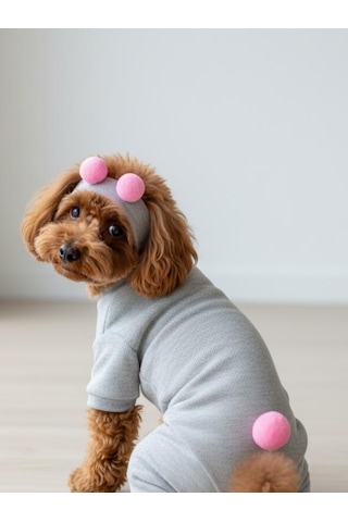 Ponpon Şeker Köpek Tulumu & Bere Takımı Şardonlu Polar Kumaş Küçük Irk Köpekler İçin Tüy Dökülmesini Gri M