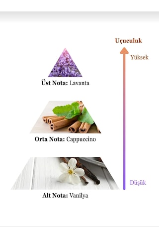 Naser Erkek Parfümü 100ml Baharat - Odunsu