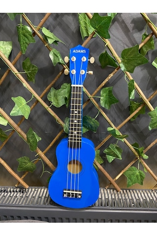 54 Cm Soprano Koyu Mavi Ukulele Kılıf Ve Pena Dahil