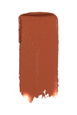 Flormar Yarı Parlak Stick Ruj- Creamy Stylo Lipstick -006 Chestnut- 8682536013666 Diğer