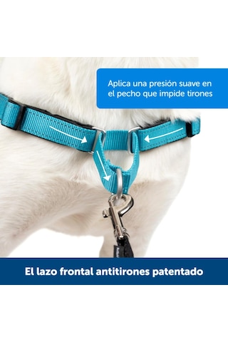 Deluxe Easy Yürüyüş Kemeri Mavi Köpek Göğüs Tasması Küçük 38-51 Cm