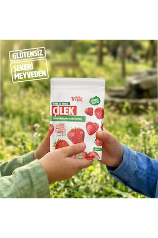 Dondurularak Kurutulmuş Çilek 18 G Freeze Dried Meyve Cipsi Çıtır Meyve Kurusu 2 Adet