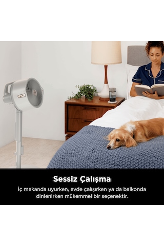 Shark Flexbreeze Promist FA300EU Taşınabilir Buharlı Fan