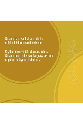 Naturwin P 3-28-0 Sıvı Fosfor Gübre 5 Litre
