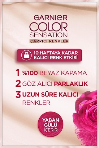 2'li Garnier Çarpıcı Renkler Saç Boyası 1.0 Ekstra Yoğun Siyah pkt1sacboyacarprenk-10640