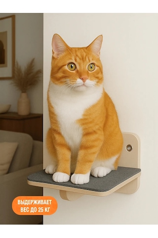 Go Cats Kedi Tüyü Döşemeli Duvar Rafı 430861489