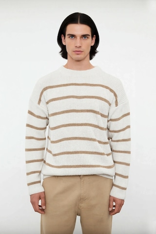 Frm Casual Erkek Kalın Triko Dokulu Bisiklet Yaka Çizgili Oversize Se Vizon