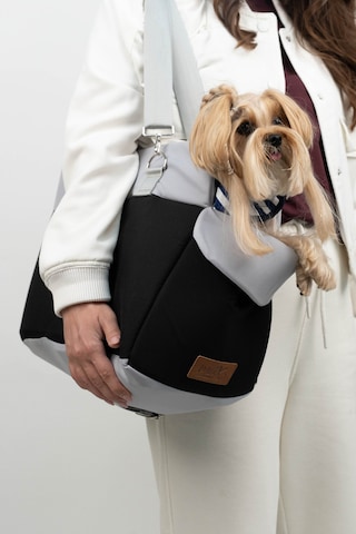 Reyo Max Design Kedi Köpek Taşıma Çantası Siyah Seyahat İçin Hafif Ve Hava Alabilen Evcil Hayvan Çantası