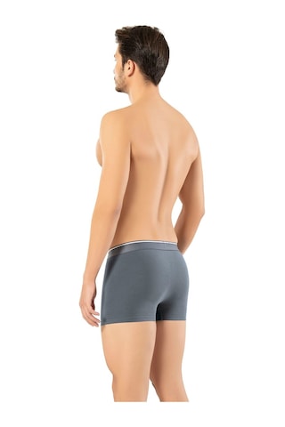 Erdem Füme Pamuk Elastan Klasik Boxer 1445 Füme