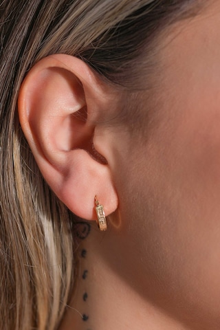 Moom Mücevherat Kadın Grek Desenli İtalyan Halka Küpe 14 Ayar N11.15593