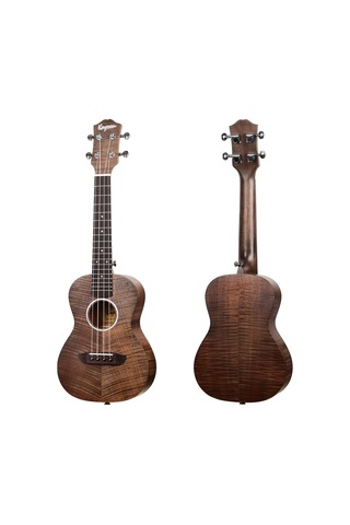 Kaysen U3-24bk Concert Ukulele