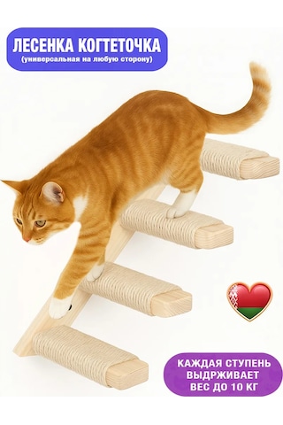 Go Cats Kedi Tırmanma Merdiveni Tırnak Törpüleme 388128715