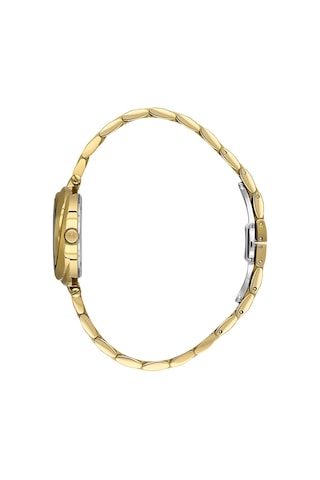 Valentino Orlandi Vo.1.10032-2 Gold