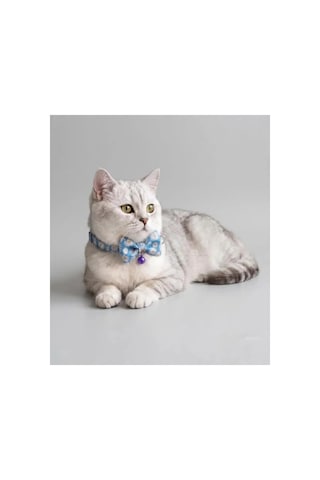 Zilli Kedi Papyon Tasması 2'li Avantaj Seti