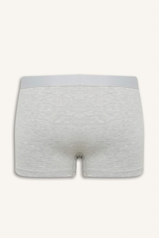 DeFacto Erkek Regular Fit 3'lü Boxer A3152AX25SPWT34