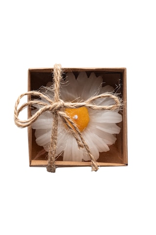 Kraft Kutulu Papatya Mum 10 Adet