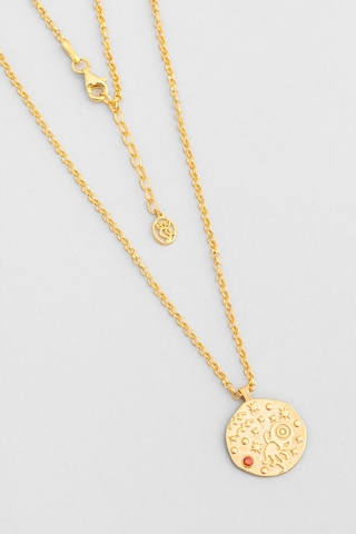 Kova Burcu 18 Ayar Sarı Altın Kaplama 45 Cm Gümüş Kolye Sarı