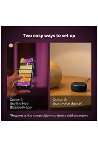 Philips Hue Iris Gümüş Akıllı Masa Lambası Gümüş