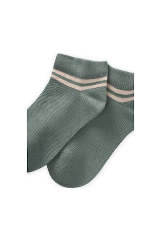 Cigit Ham Çizgili Çocuk Patik Çorabı 5-12 Yaş Çağla Yeşili Yesil