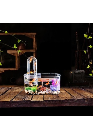 Homyl Mini Balık Tankı Toz Geçirmez Yetiştirme Kase Ev Masa