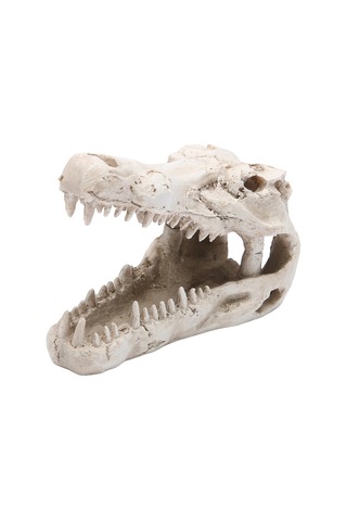 Suntek Dinozor Balık Tankı Süslemeleri Süs Ev Triceratops Akvaryum Heykeli