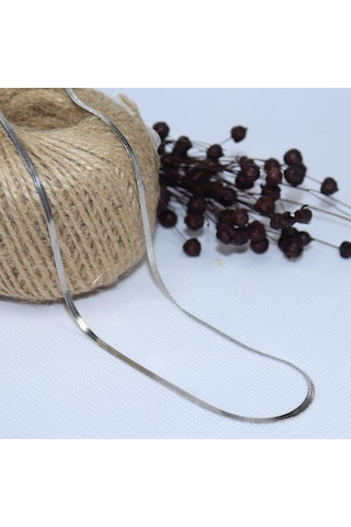 316 L Yassı Yılan Model Çelik Erkek Kolye 2Mm 55Cm (455376326)