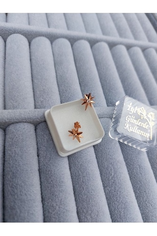 Zanaatsilver 925 Ayar Gümüş Zirkon Tek Taşlı Kutup Yıldızı Küpe Rose Renk 2'li Gümüş