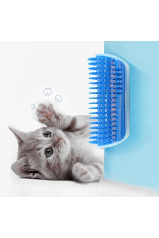 Ecoform Kedi Kaşınma Aparatı Kedi Otlu Kedi Oyuncağı