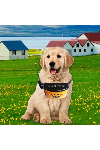 Suntek Su Geçirmez Köpek Eğitim Tasması Titreşim Turuncu