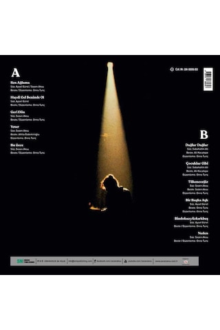 Sezen Aksu Sen Ağlama Plak