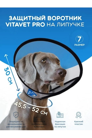 Vıtavet Pro Kedi Ve Köpekler İçin Veteriner Korumalı Yaka 184404600