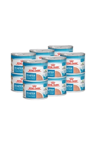Royal Canin Starter Köpek Köpüğü, 12 Adet 326328610