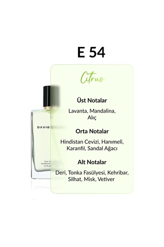 David Walker E54 Nonses Erkek Parfüm EDP 50 ML