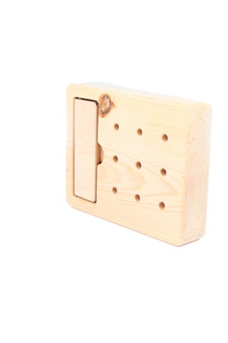 Dokuz Delikli Peg Testi